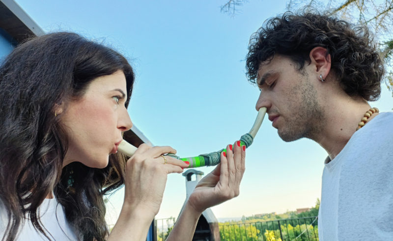 rape ricevere pianta medicina tribale